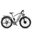 DUOTTS F26 – Vélo Électrique